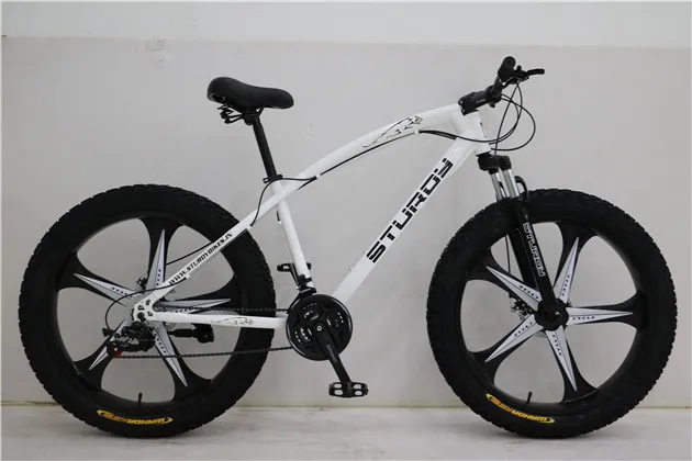 Alloy wheel store fat bike