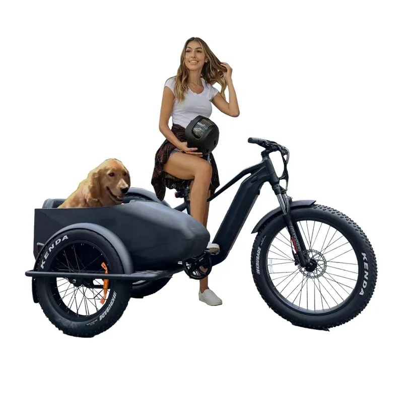 48V 250W 500W Electric Bicycle with Side Car Beach Cruiser