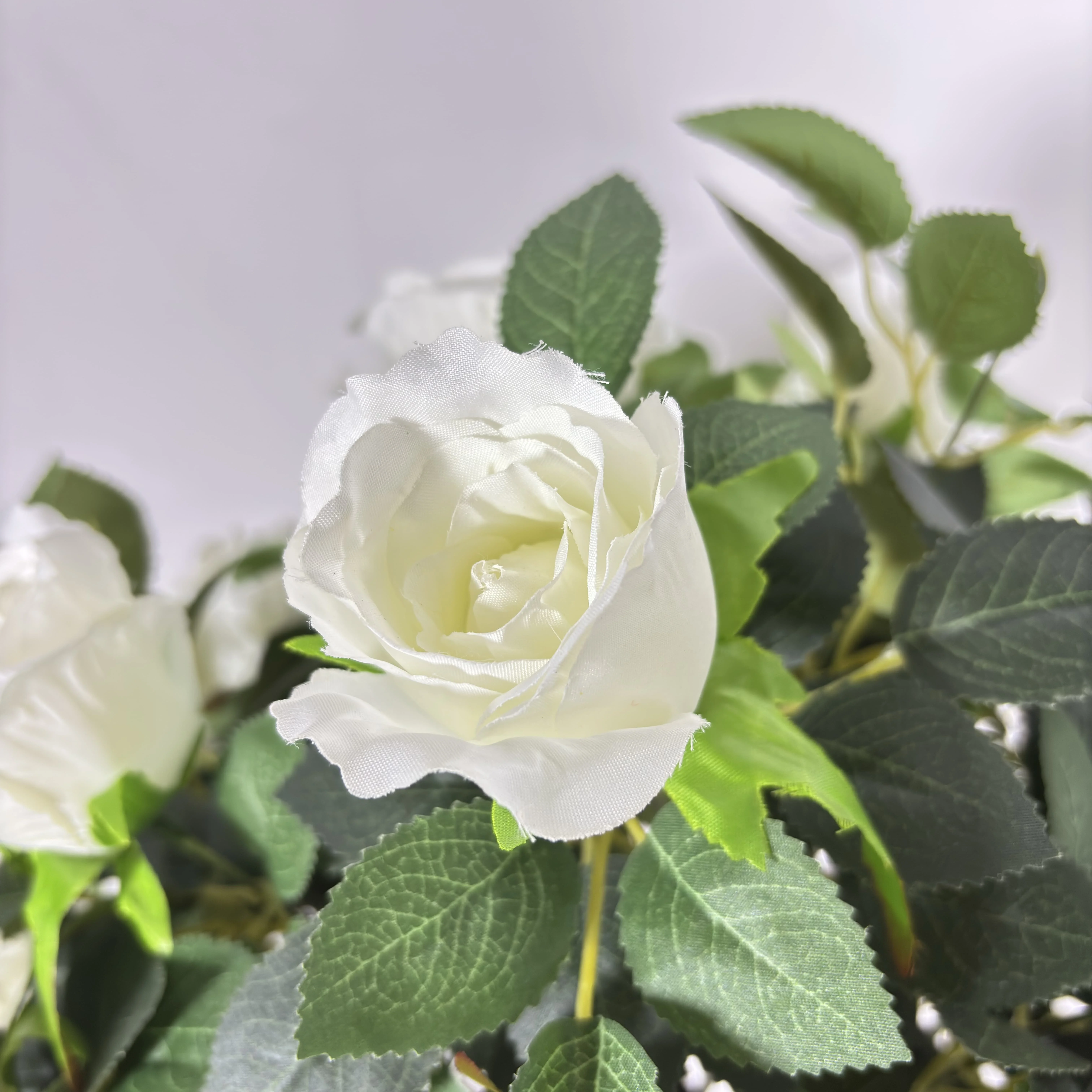 细节图1