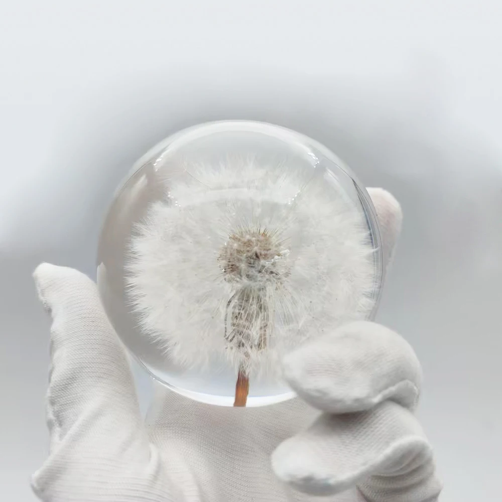 Custom Embedded Real Dandelion Resin Ball Epoxy Resin Craft Flower Decoration Plant Ornament Paperweight Glass Crystal Ball Gift