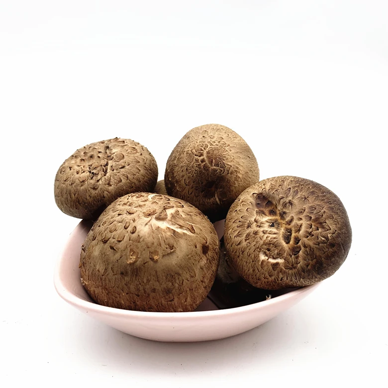10 mushroom mix , Instant Mushroom Powder 30% Beta D Glucan