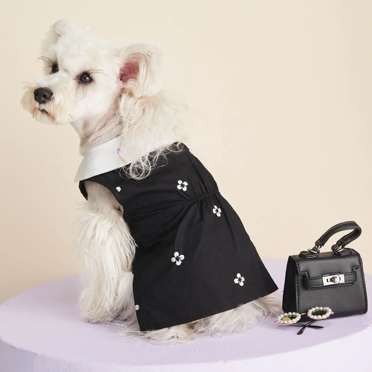 Robe pour chien, vêtements pour animaux de compagnie, design