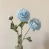 Blu-chiaro