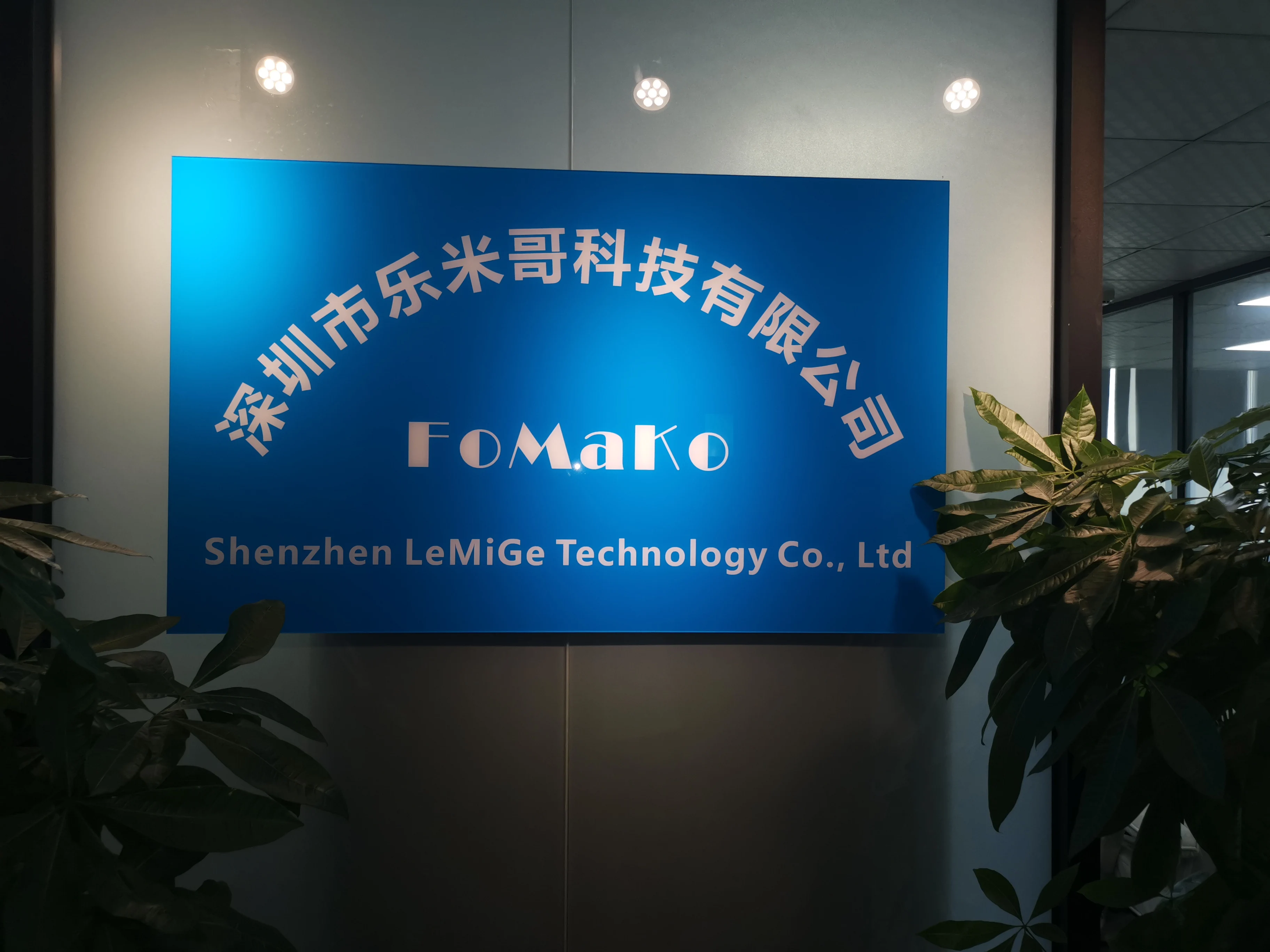 Shenzhen Lemige Technology Co., Ltd.