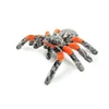 Spider 17*25*6cm