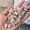 Agata Fiore di Ciliegio