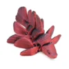Noir Rouge
