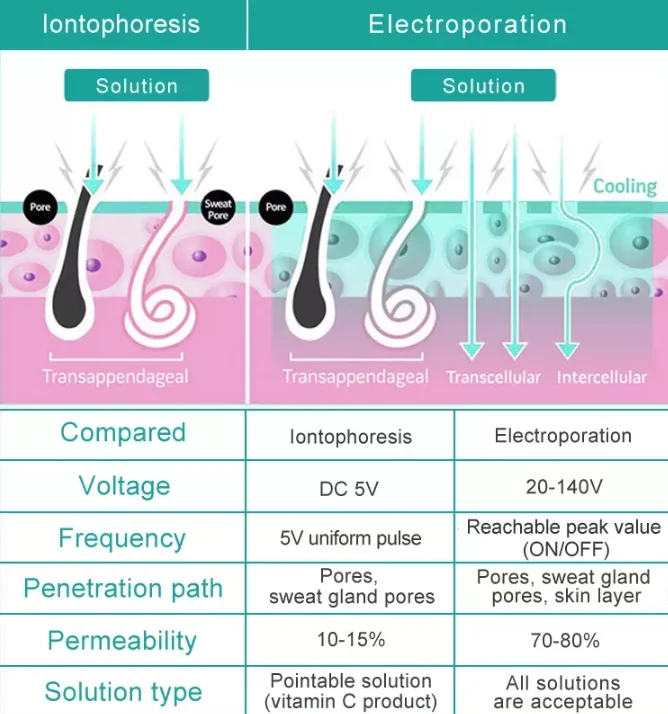 Newest portable Dcryo facial cooling and heating massager dcool electroporation machine for skin rejuvenation