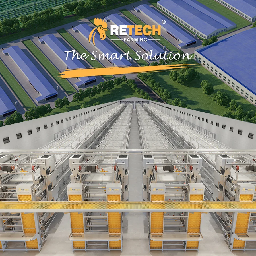 Automatic Layer Bird Shed  H Type Galvanized Egg Laying Hens Chicken Cage Poultry Shed