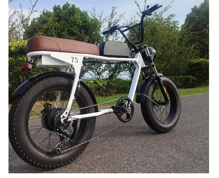 cheap diy ebike