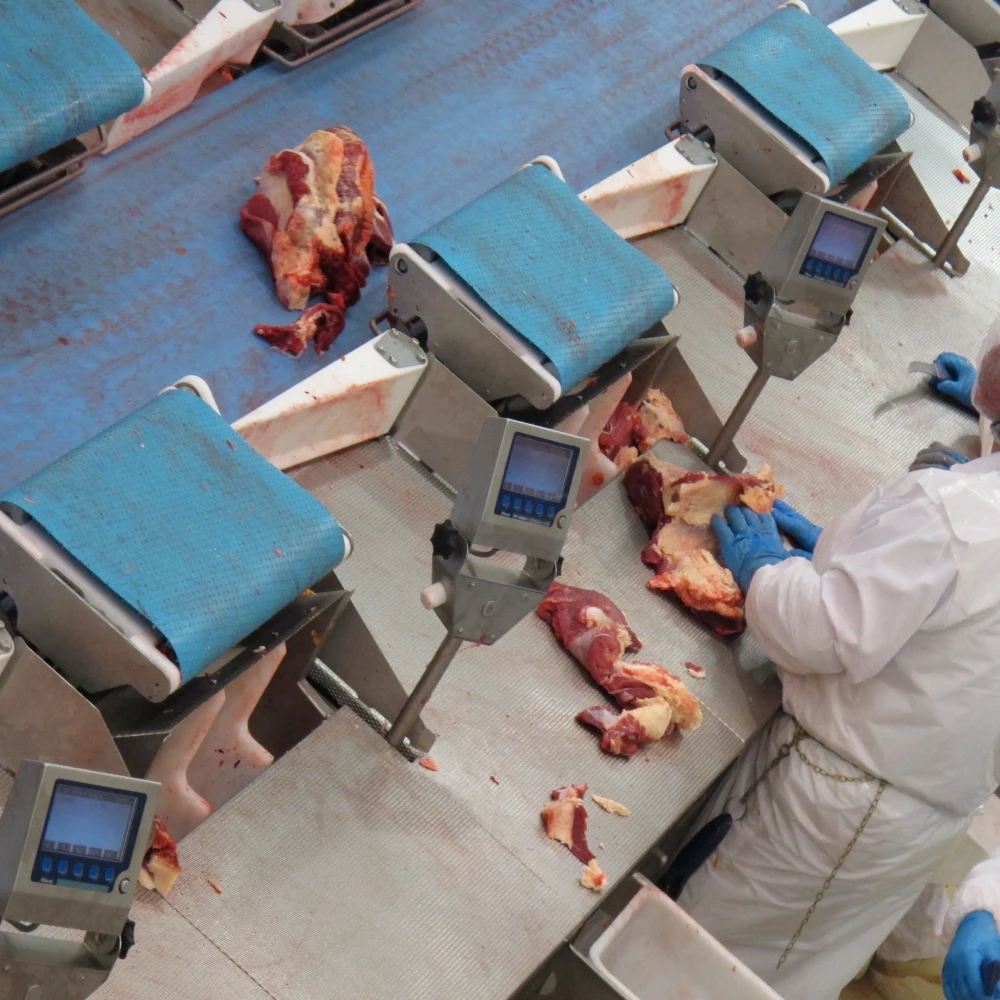 New lamb slaughtering equipment sheep slaughterhouse line sheep slaughtering machine