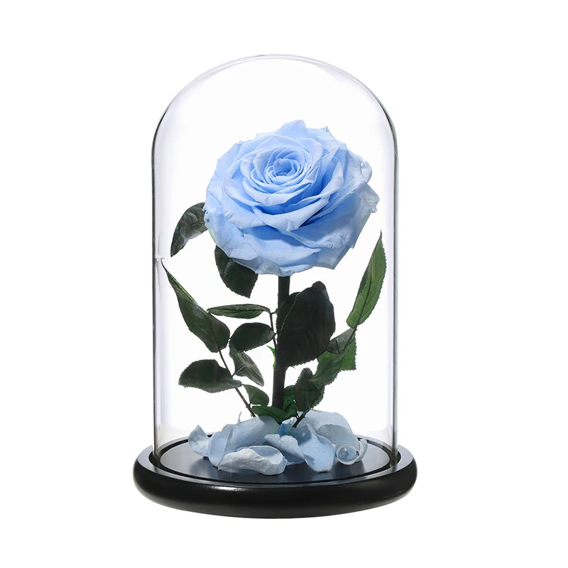 单一永恒的玻璃圆顶玫瑰持久永恒玫瑰自然玫瑰玫瑰保存在玻璃圆顶 Buy 永恒的玻璃穹顶玫瑰 持久永远的玫瑰 自然玫瑰保存product On