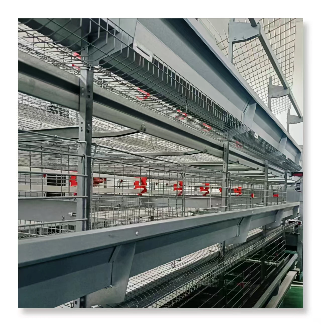 Modern Design Automatic Poultry Farming House H Type Battery Cage Chicken Farm for Egg Layer