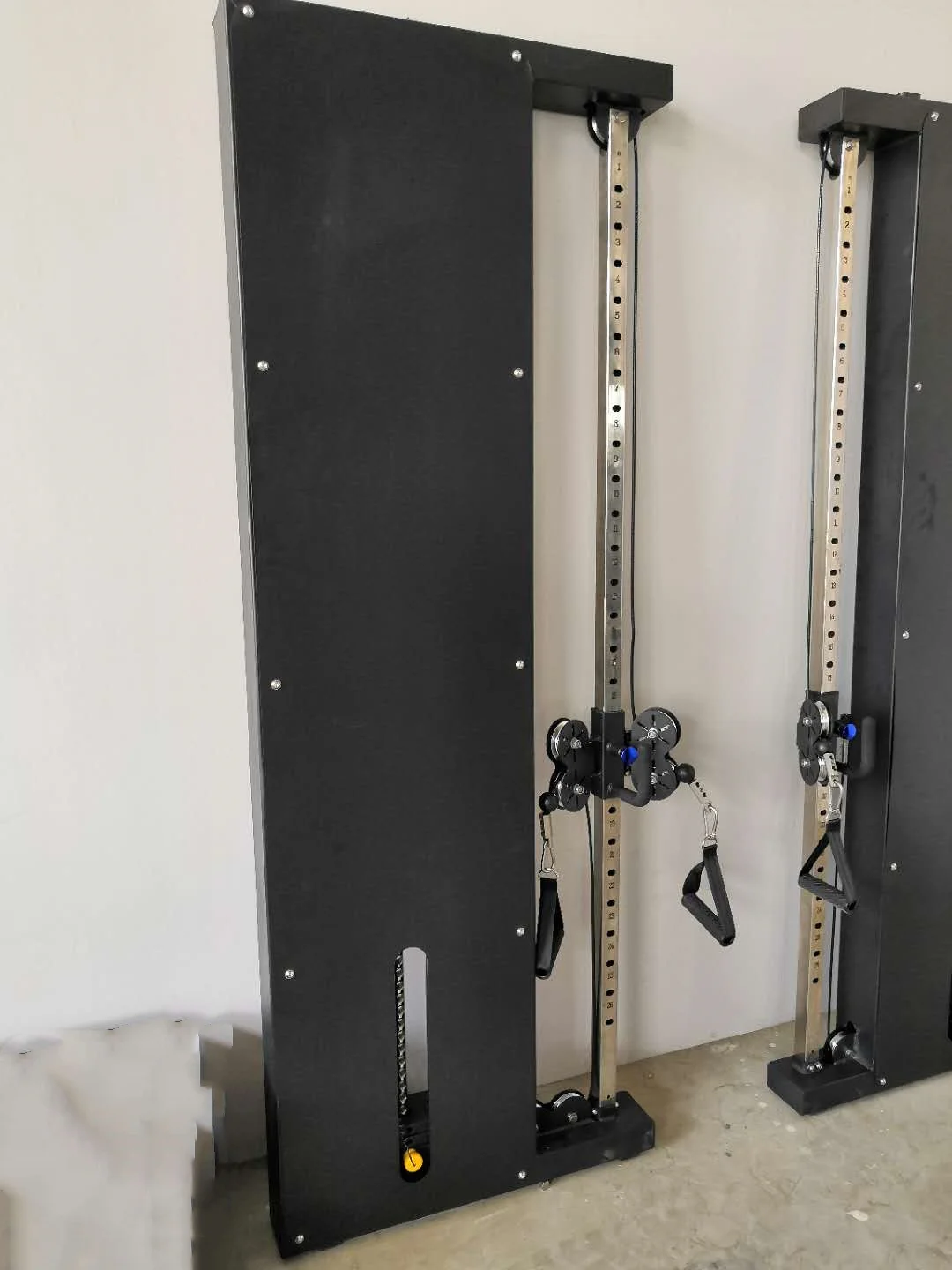 FTS Glide Functional Trainer Wall-Mounted Cross Trainer for Home and Commercial Gym Training Made of Durable Plate supplier