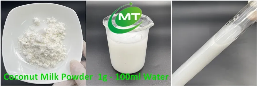 coconut milk powder1