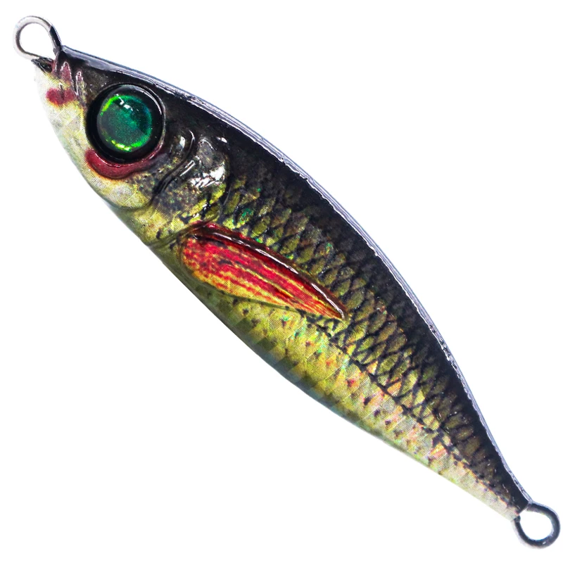 3D Printing Simulation BASS Iron Plate Lead Fish 40g Lure
