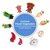 Custom Plush Vegetable