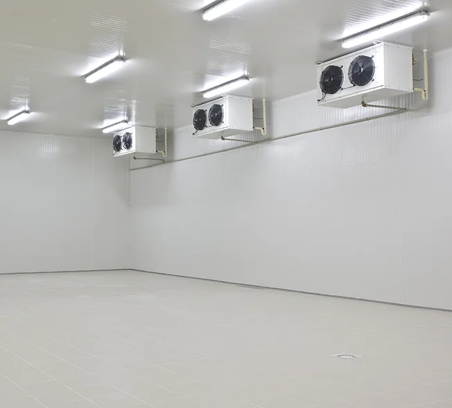 EMTH Precise Temperature Control  Blast Freezer Walk in Cold Room Refrigeration Modular Cold Room