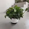 MIX