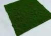 Verde3