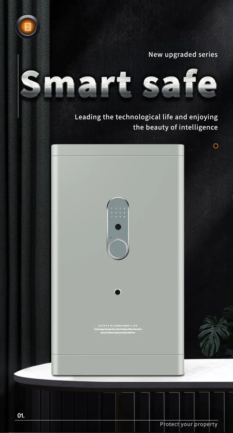 CEQSAFE Smart Home TUYA APP WIFI Safes Fingerprint & Password Anti-Theft Safe Box supplier