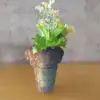colorato