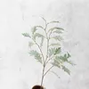 Gray-green branch