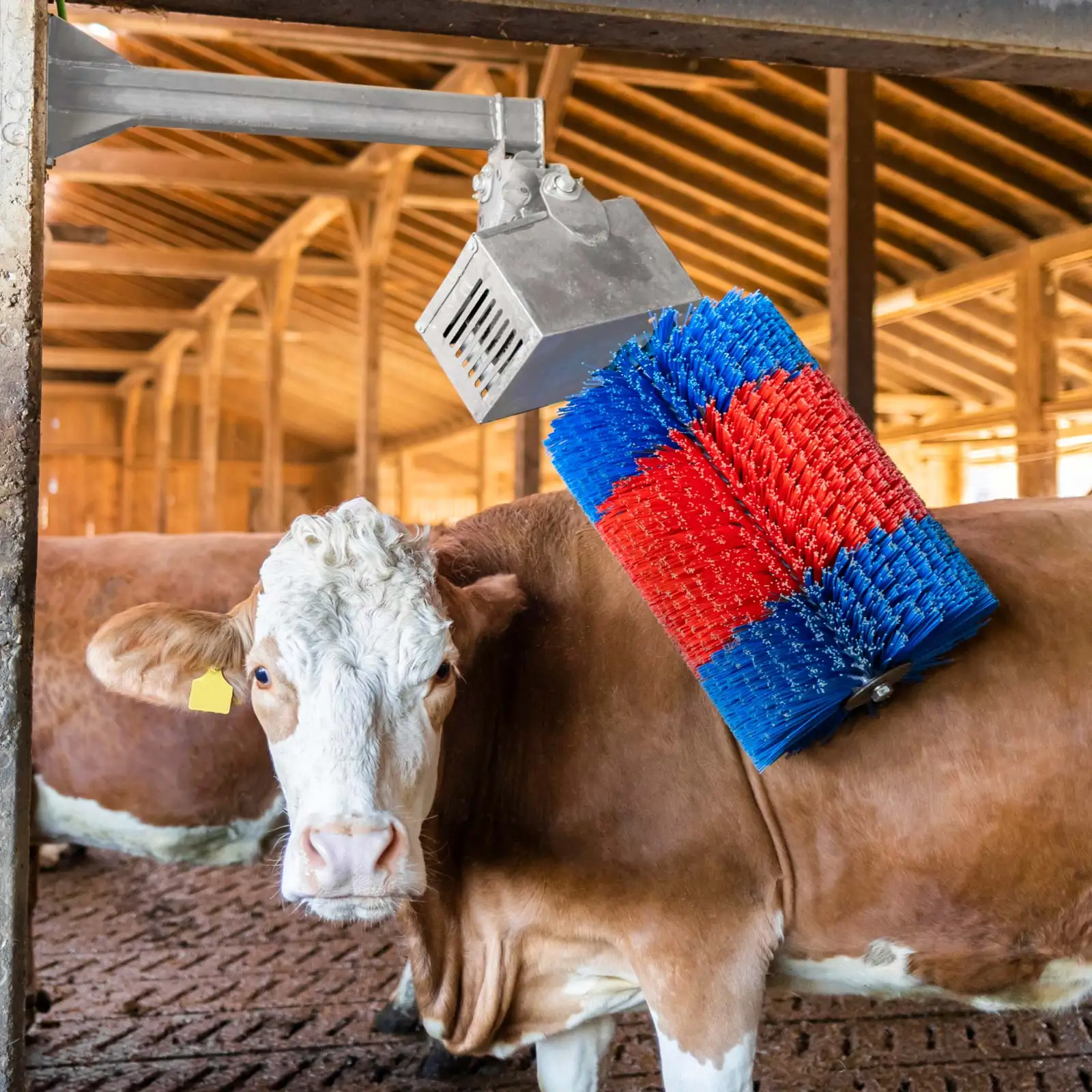 High Quality Stationary Cattle Standing Brush Cow Scratching Rotating