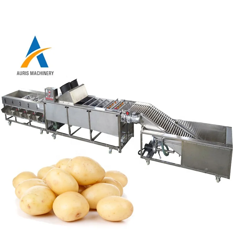 Vertical Brush-Roller Washing Cleaning Machine for vegetables and fruits -  Food Packaging Processing Solutions