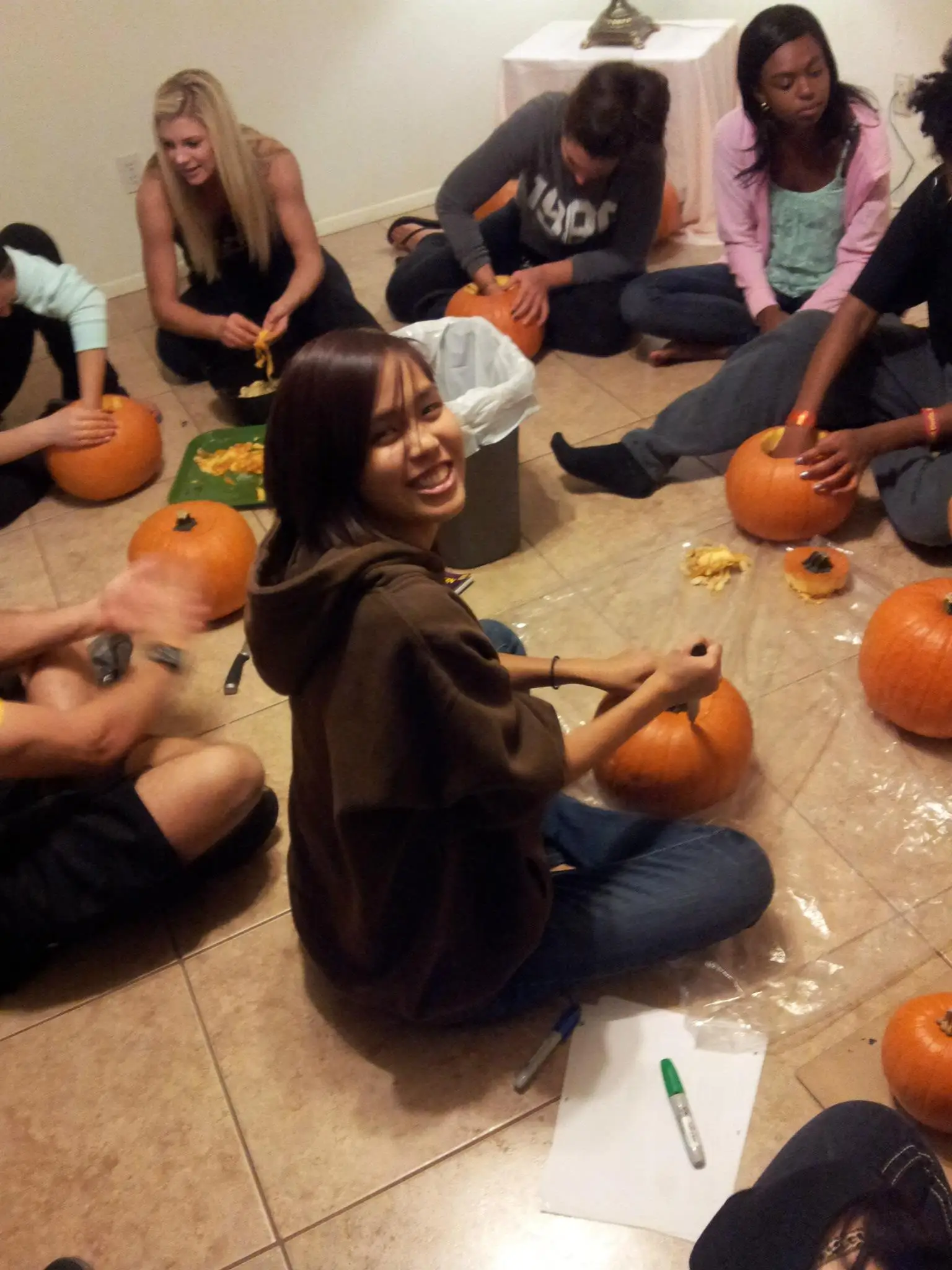 Wholesale Plastic Cat Toilet Space Capsule Cat Toilet Cat Litter Box