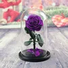 Classique Pourpre