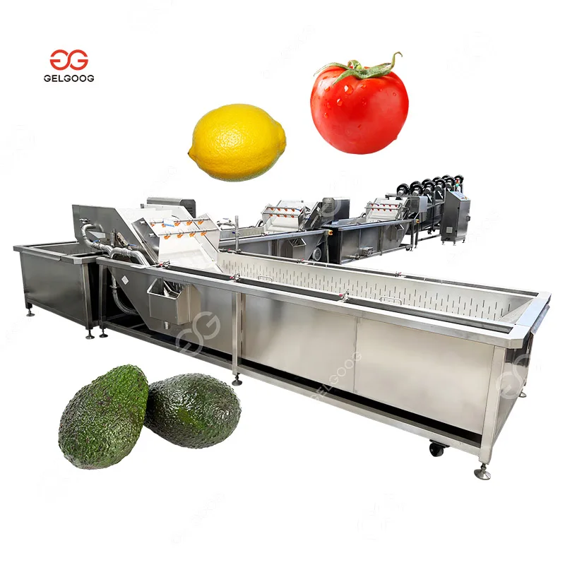 Automatic Electric Fruit and Vegetable Cleaner Coconut Meat Washer Mango Bubble Wash Machine