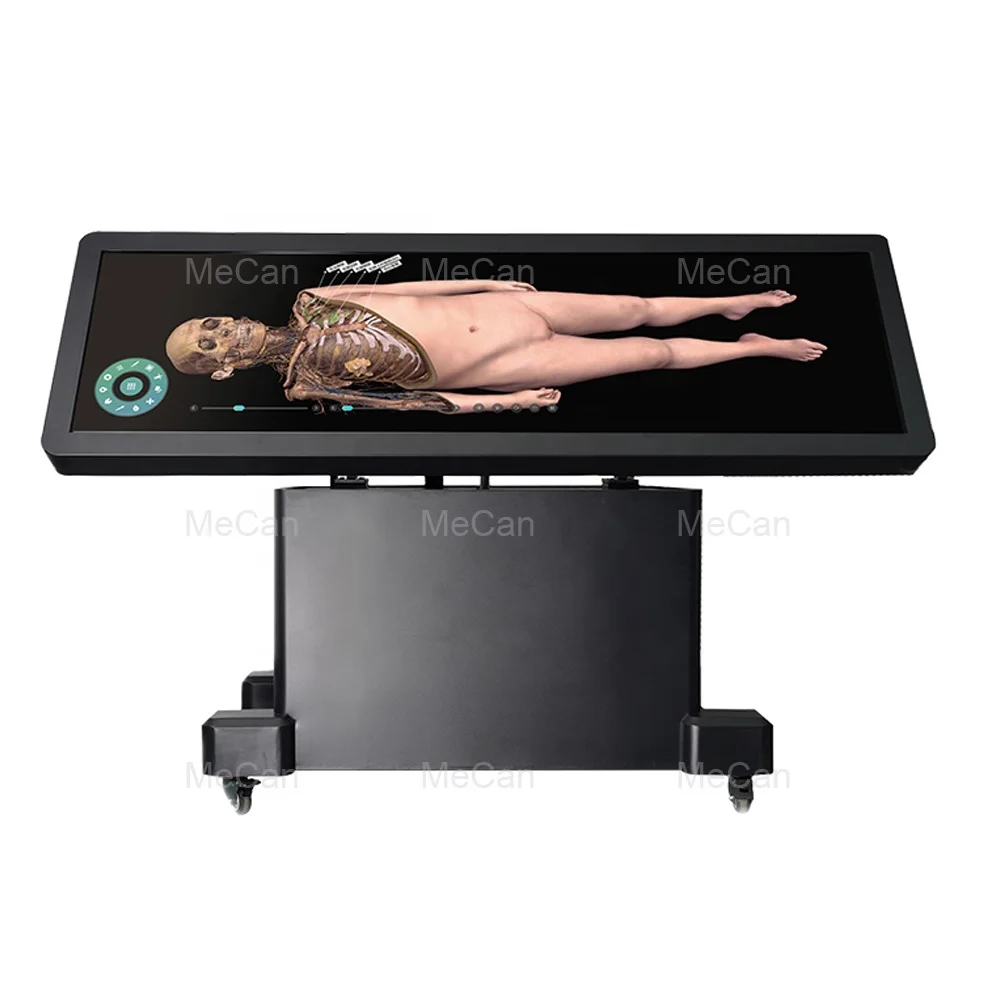 Source Human Virtual Anatomage 3D Anatomy Table Digital Human Body Virtual  Autopsy Dissection Table for School on m.alibaba.com