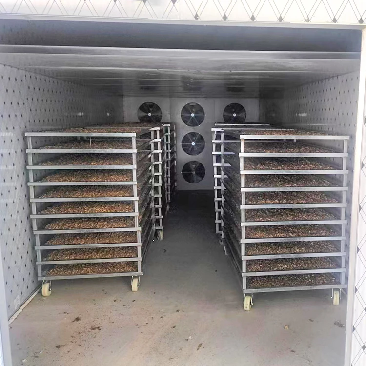 Guoxin mango Dried/coconut Coir/grape Heat Pump Dryer Food Fruit Drying Machine Fruits Drying Machine