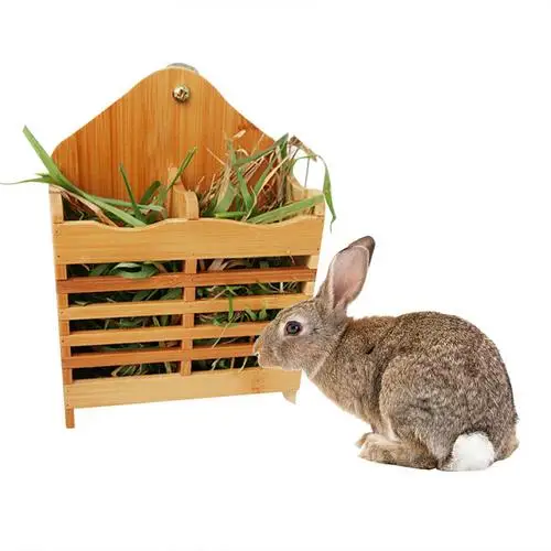 hay holder for rabbits