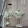 1 albero di ciliegio 1.2m