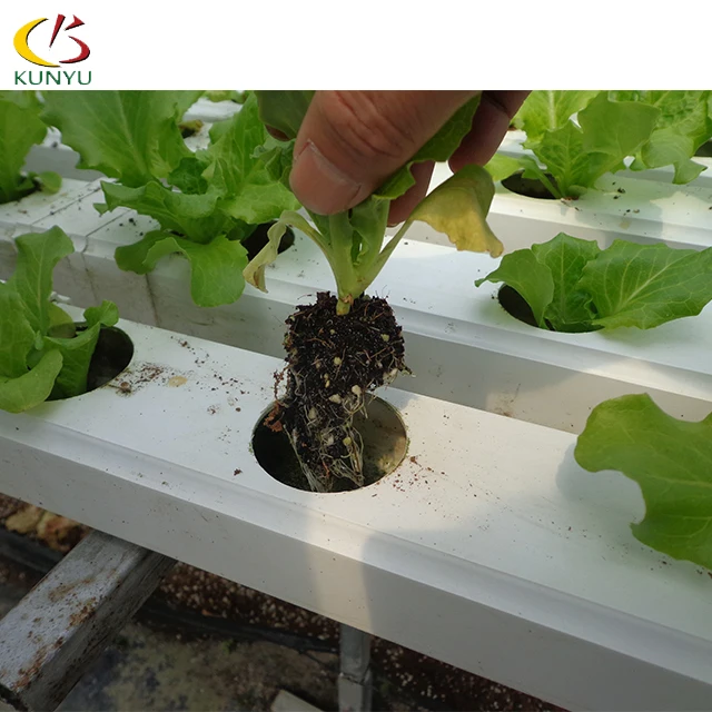 Foshan Kunyu High Efficient Hydroponic Systems Vertical  Greenhouses for Strawberries