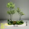 Paquete Nantianzhu 11