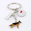 Chien Berger Allemand