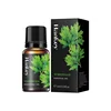 Wormwood essential oil 10ml