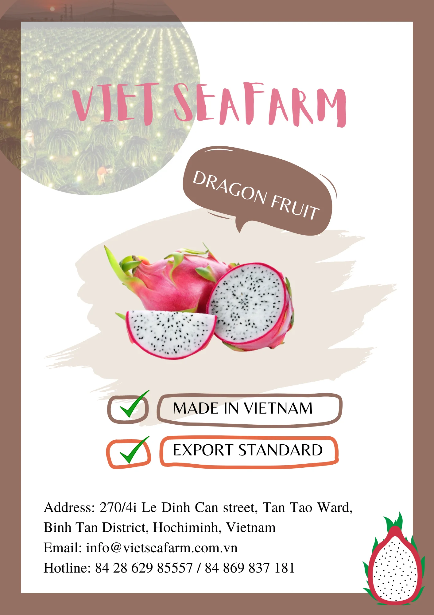 Hot Deal! Fresh Dragon Fruit With High Quality And Competitive Price