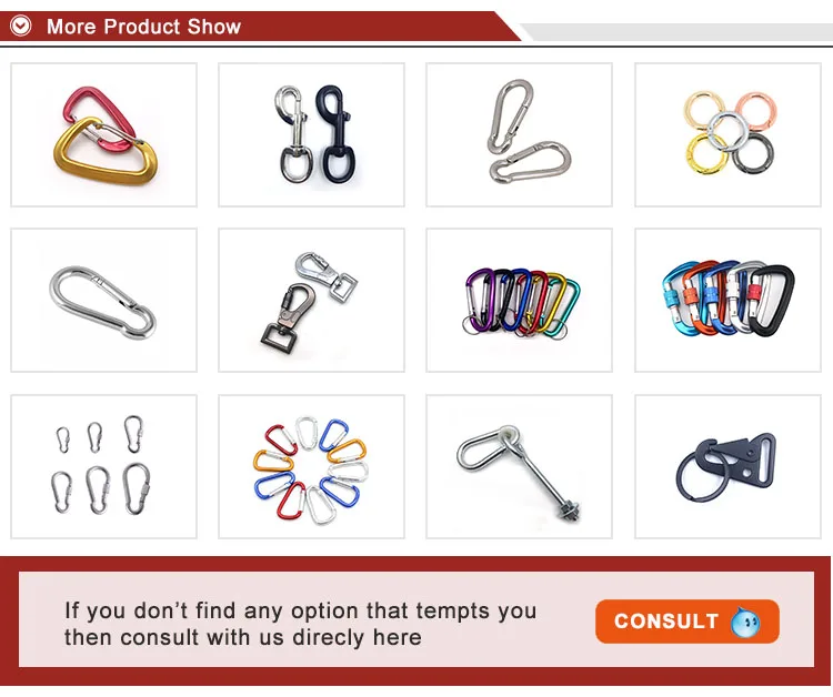 BT-245 Carabiner Safety Metal Carabine Snap Hook Mousqueton M5 Stainless Steel 304/316M Carabiner Spring Hook