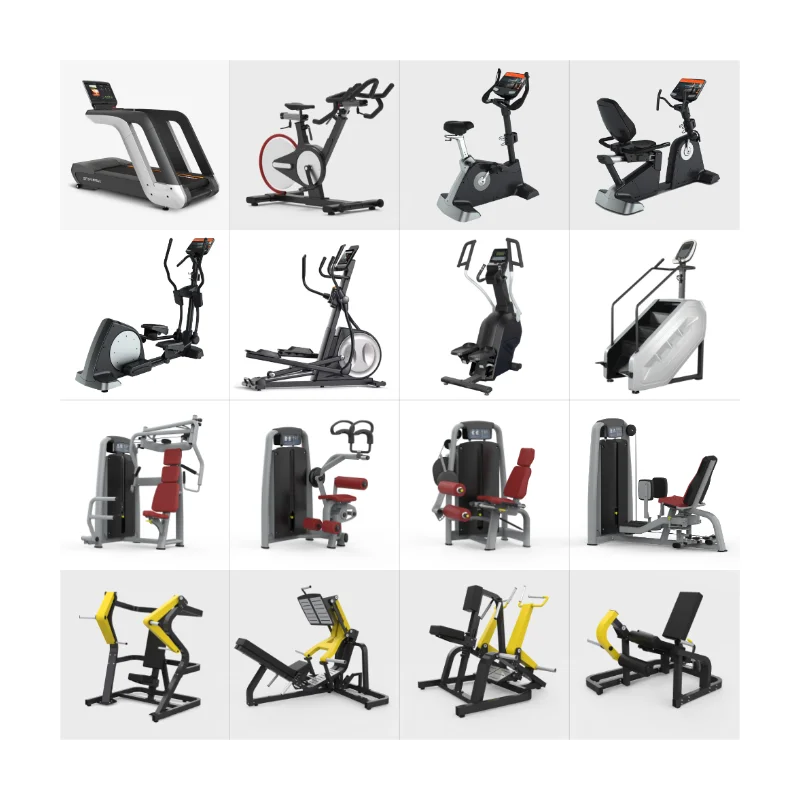 BFT FITNESS Equipment Complete Strength Training Solutions