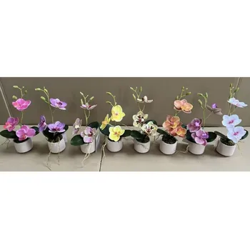 Butterfly orchid plastic pots for plants flower garden potted artificial pot for plant flower ZR037