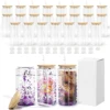 Vaso de vidrio de doble pared de 16 oz