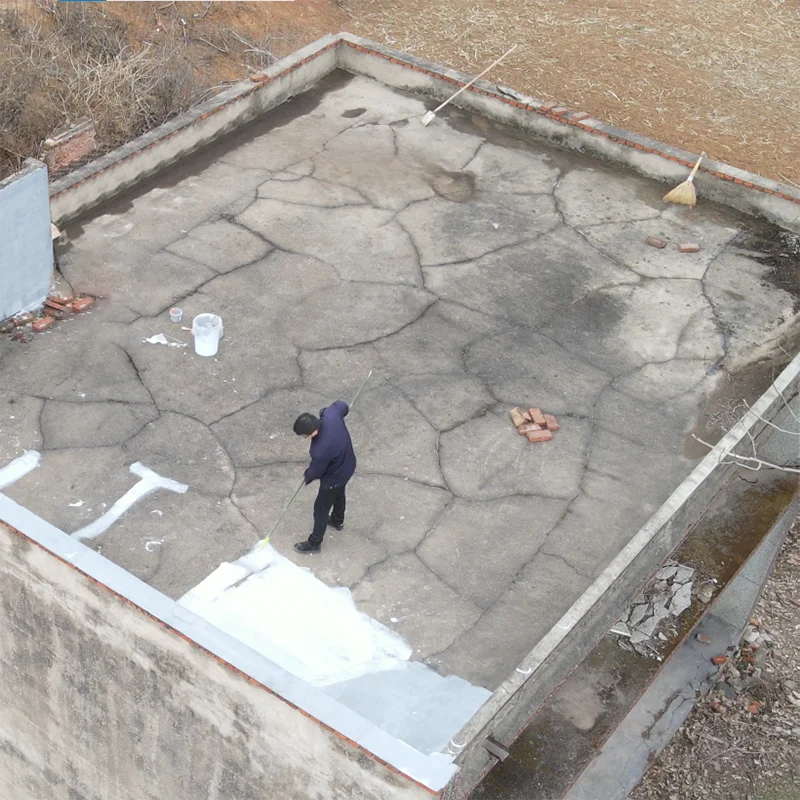 Roof Leakage Repair Waterproof Coating Acrylic High Lastic Water Proof