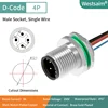 M12-D-4P male M12*1.0