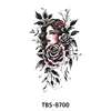 Tbs-8700 - 120*190mm