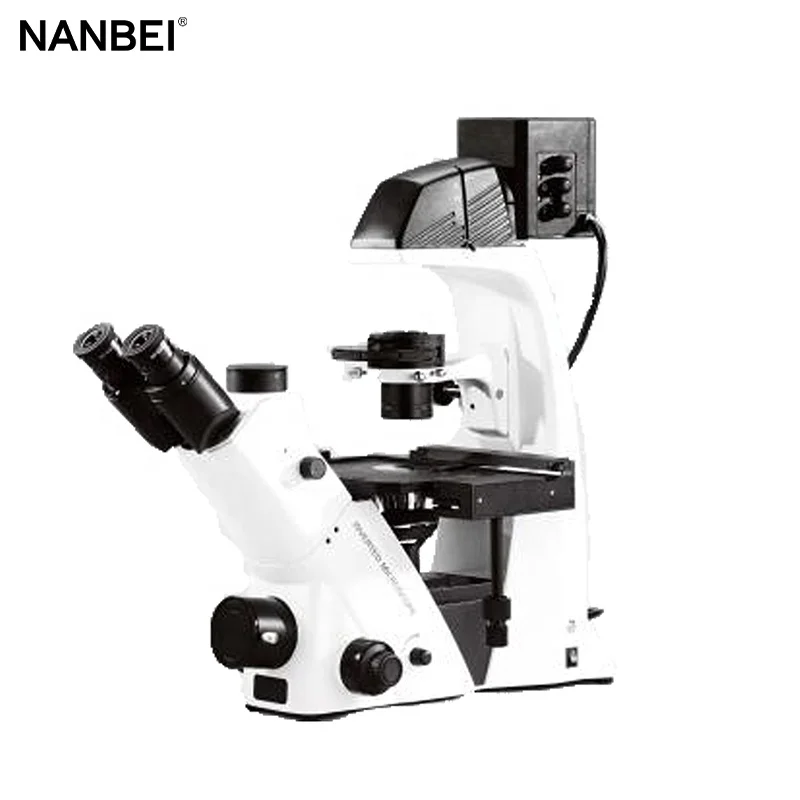 Phase Contrast Microscopy to View GFP, RFP, and BFP Inverted Fluorescent Microscope