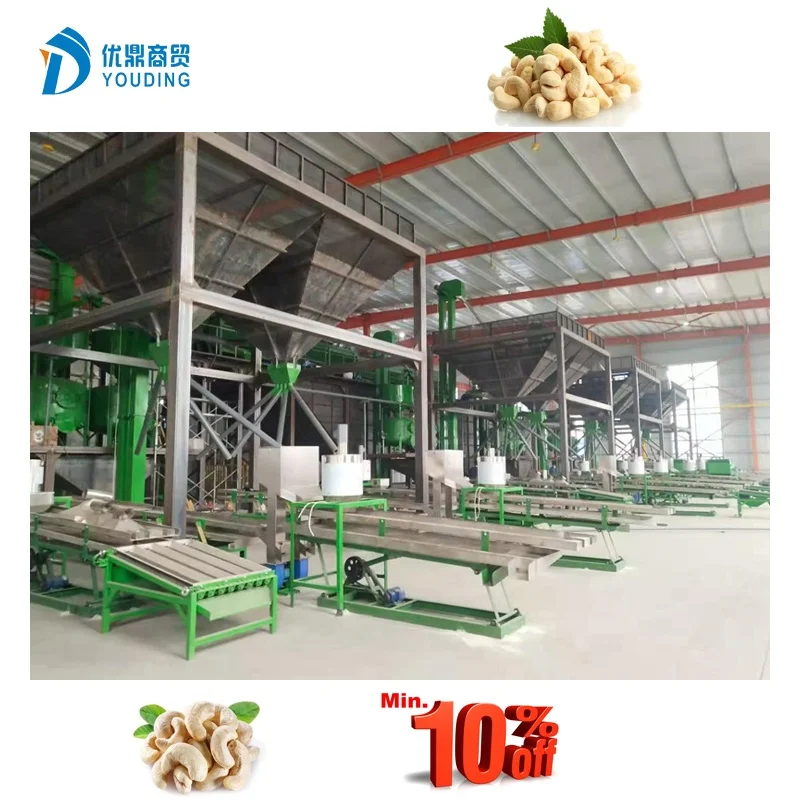 Complete Cashew Processing Factory Automatic Cashew Nut Sorting Machine